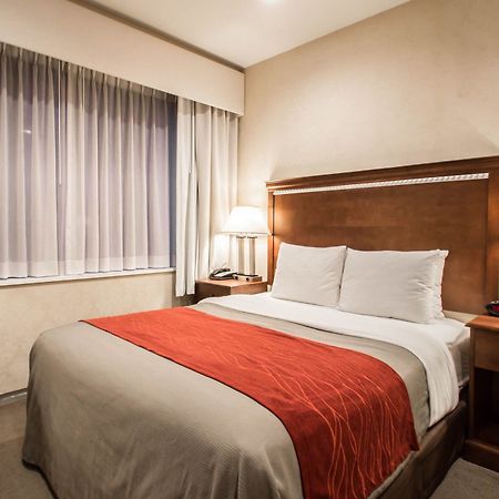 Comfort Inn Manhattan Bridge New York Kültér fotó